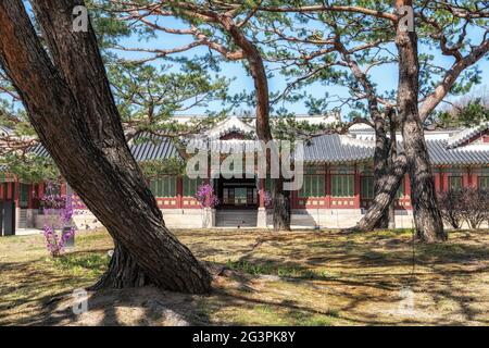 Changdeok Gung Palast Architektur mit Pinien Stockfoto