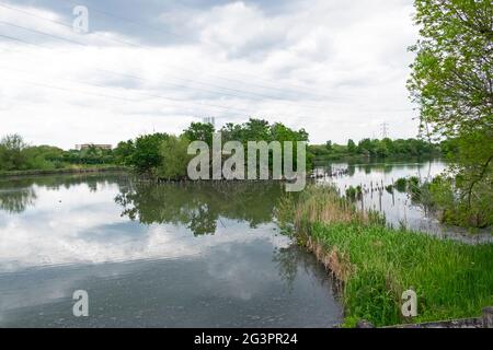 Walthamstow Wetlands London N17 England GB KATHY DEWITT Stockfoto