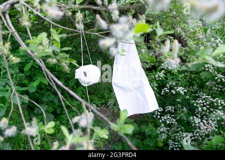 Toilettenrolle und Plastiktüte, die im Unterholz an einer Schnur hängen, damit Besucher, die in Walthamstow Wetlands London SPAZIEREN GEHEN, KATHY DEWITT VERWENDEN können Stockfoto