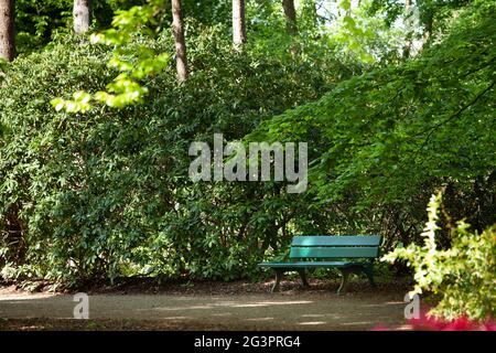 Eine grüne Bank in einem öffentlichen Park inmitten üppiger Vegetation. Stockfoto