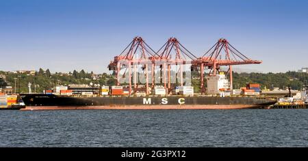 Seattle, Bundesstaat Washington, USA - 2018. Juni: Das Containerschiff „MSC Sao Paulo“ dockte im Containerhafen von Seattle an. Stockfoto