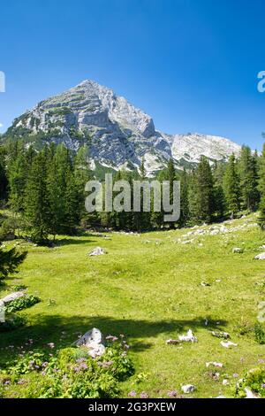 Alpenlandschaft im Nationalpark Gesäuse in Österreich Stockfoto