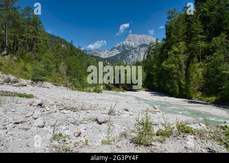 Am Ufer des Johnsbach im Nationalpark Gesäuse in Österreich Stockfoto