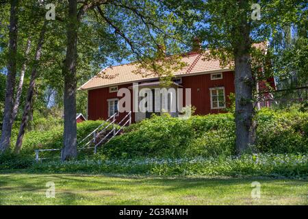 Kleines rotes idyllisches Sommerhaus auf schwedischer Landschaft im Sommer Stockfoto