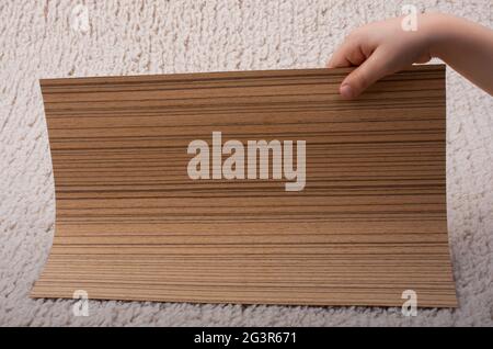 Person, die ein leeres Holzbrett in den Händen hält Stockfoto