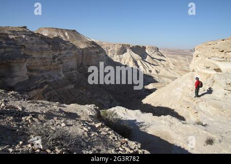 Wandererin, ältere Erwachsene 59 Jahre alt, steht gefährlich an der Seite einer steilen Kalksteinklippe und blickt in der Nähe von Nachal Acev, Wüste Negev, auf einen tiefen Canyon Stockfoto