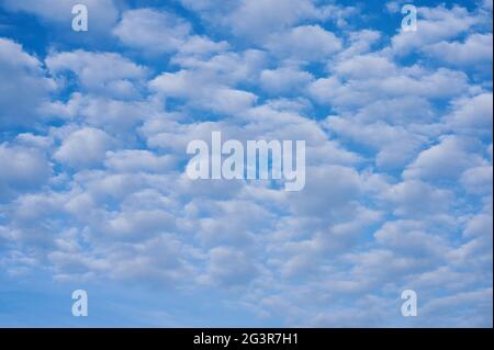 Blauer Himmel voller flauschiger weißer Wolken als Hintergrundbild Stockfoto