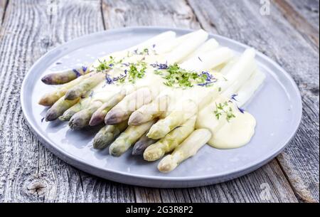 Traditioneller gegrillter weißer Spargel mit violettem Kopf garniert Sauce Hollandaise und angeboten als Nahaufnahme auf einem modernen Design pl Stockfoto