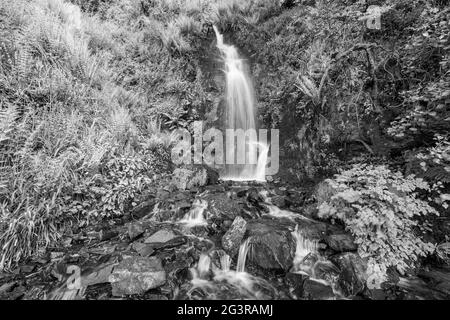 Langzeitbelichtung des Hollowbrook Wasserfalls auf dem South West Coastpath von Woody Bay bis Heddons Mouth in Devon Stockfoto