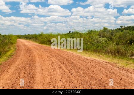 Landstraße im Naturschutzgebiet Esteros del Ibera, Argentinien Stockfoto