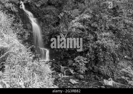 Langzeitbelichtung des Hollowbrook Wasserfalls auf dem South West Coastpath von Woody Bay bis Heddons Mouth in Devon Stockfoto