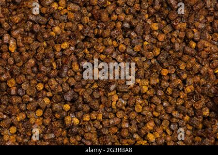 Bienenbrot, Perga Stockfoto