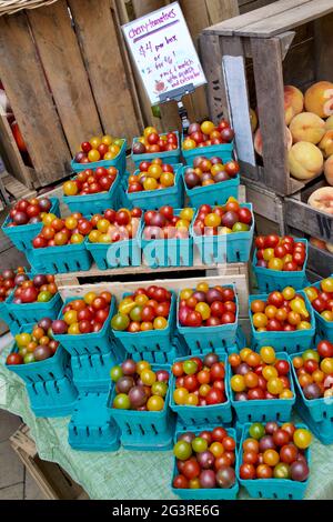 Kirschtomaten in Pint-Behältern auf dem Farmer’s Market in Washington, DC, USA. Deckenwinkel des vollen Behälters. Stockfoto