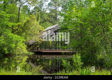 Pinecote Pavilion im Crosby Arboretum, einem Wintergarten, der einheimische Pflanzen des Pearl River Drainage Basin von Mississippi und Louisiana schützt. Stockfoto