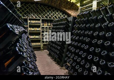 Weinkeller mit Weinflaschen. Alte Weinflaschen mit Staub und Spinnweben bedeckt sind im Weinkeller des Weinguts. Alkoholgetränk vi Stockfoto