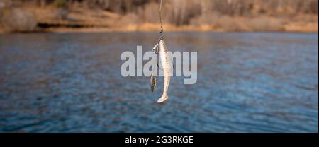 Angeln Köder auf dem Haken über dem See Wasser Stockfoto