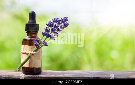 Ätherisches Lavendelöl in einer braunen Glasflasche, verschwommener grüner Hintergrund. Stockfoto