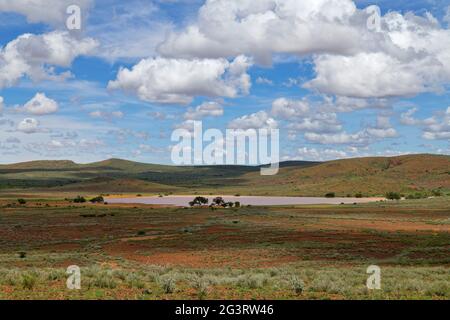 Ackerland an der Straße C14 südlich von Maltahöhe: Ein wassergefüllter Staudamm, Regenzeit, Hardap Region, Namibia Stockfoto