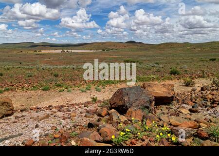 Ackerland an der Straße C14 südlich von Maltahöhe: Ein wassergefüllter Staudamm, Regenzeit, Hardap Region, Namibia Stockfoto