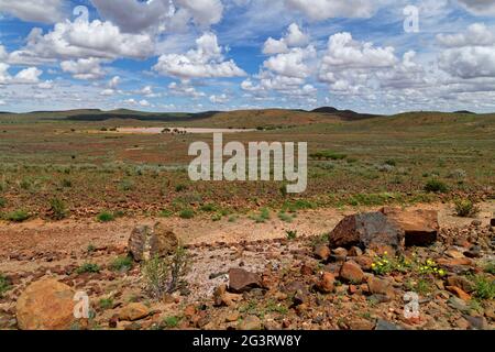 Ackerland an der Straße C14 südlich von Maltahöhe: Ein wassergefüllter Staudamm, Regenzeit, Hardap Region, Namibia Stockfoto