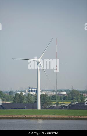 Windmühlen-Kraftwerke und Turbinen erzeugen erneuerbare grüne Energie in der Nähe des Kieler Kanals in Deutschland Stockfoto