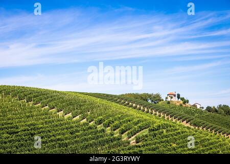 Piemont Hügel in Italien mit landschaftlich reizvoller Landschaft, Weinbergfeld und blauem Himmel Stockfoto