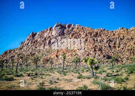 Willow Loch Felsen in Joshua Tree National Park, Kalifornien Stockfoto