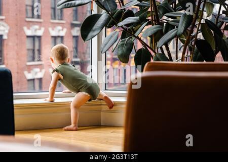 Neugieriges Kleinkind Baby Mädchen aus dem Fenster in der Stadt schauen Stockfoto