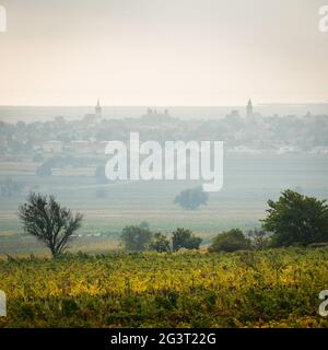 Dorf Rust am Neusiedlersee mit Nebel am See Stockfoto