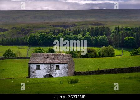 Traditionelle, weiß getünchte Scheune in Upper Teesdale, County Durham, England, im Frühjahr Stockfoto