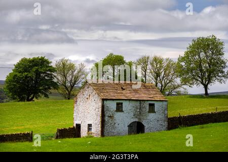 Traditionelle, weiß getünchte Scheune in Upper Teesdale, County Durham, England, im Frühjahr Stockfoto