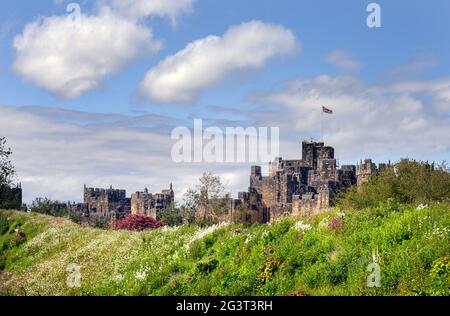 ALNWICK, ENGLAND - 10. JUNI 2021: Schloss Alnwick hinter einer Bank von wilden Blumen an einem schönen Frühlingstag, Northumberland, England Stockfoto