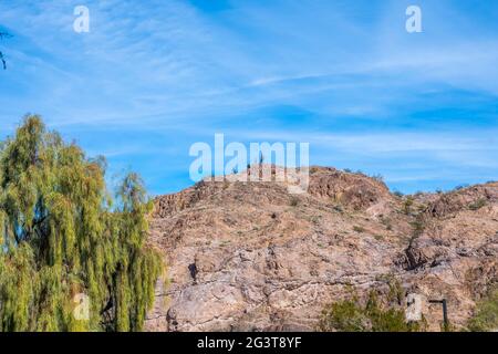 Ein Blick auf die Natur in Buckskin Mountain SP, Arizona Stockfoto