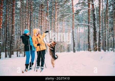 Zwei Aktive Junge Und Erwachsene Kaukasische Frauen Haben Spaß Beim Skifahren Und Spielen Mit Hund Im Winter Snowy Forest. Aktiver, Gesunder Lebensstil Auf Der Winternatur Stockfoto
