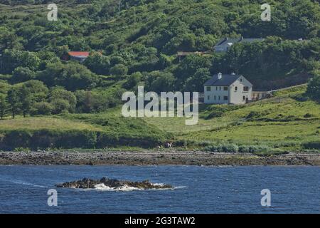 Die Menschen leben gerne in einer wunderschönen Landschaft voller Felsformationen entlang der irischen Küste Stockfoto