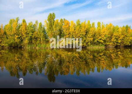 Herbstliches Laub spiegelte sich in einem See im Burgenland wider Stockfoto