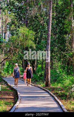 Touristen wandern entlang eines Pfades, der durch das Vogelschutzgebiet Audubon am 17. Juni 2021 in Dauphin Island, Alabama, führt. Stockfoto