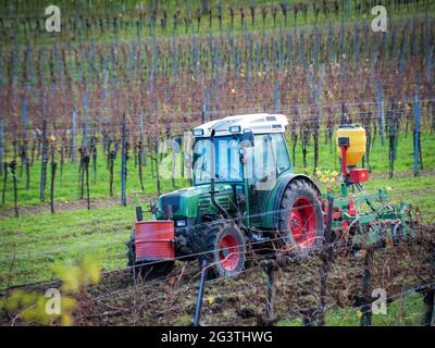 Traktor arbeitet in einem Weinberg im Burgenland Stockfoto