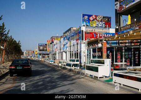 19. Juni 2021-Taean, Südkorea-EIN Blick auf die Küste und das Fischerdorf von Taean, Südkorea. Taean County in Chungcheongnam-do, Südkorea. Der Taean Haean National Park liegt im Taean County und ist bekannt für seine klaren Meere, unverschmutzten Böden, Küstenflora, Wattflächen, Küsten, Und weißen Sand.[Zitat erforderlich] Es umfasst dreißig verschiedene Strände; einer von ihnen, Mallipo Beach, gilt als einer der drei schönsten in Korea[Zitat erforderlich] und ist über eine Meile lang. Dieser Strand ist auch der Ort der Ölpest in Korea 2007. Stockfoto