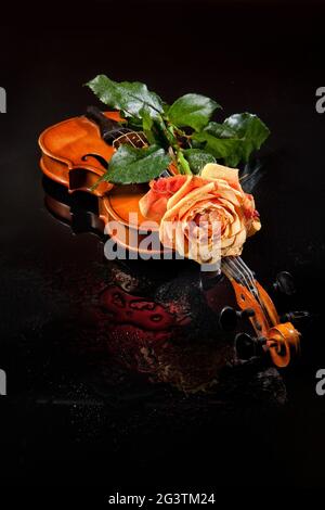 Rose und Violine Stockfoto