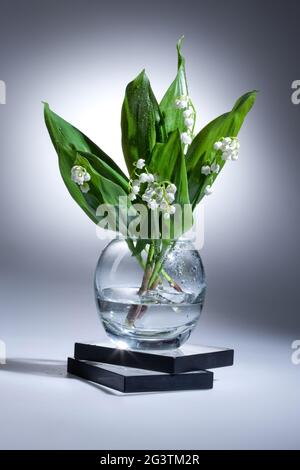 Lily Of The Valley Stockfoto
