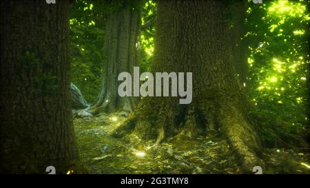 Der Urwald mit mossed Boden Stockfoto