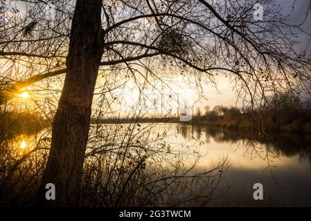 Schöner Sonnenuntergang auf einem kleinen See im Winter im Burgenland Stockfoto