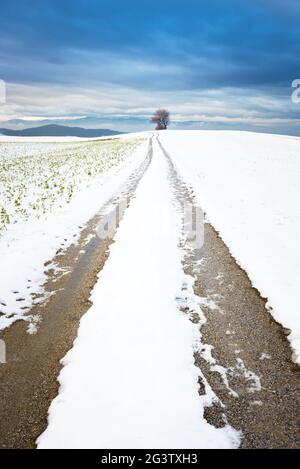 Winterlandschaft in Hochwolkersdorf Bucklige Welt Niederösterreich Stockfoto