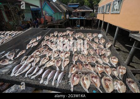Im Dorf Koh Panyee trocknen die Fische im Netz Stockfoto