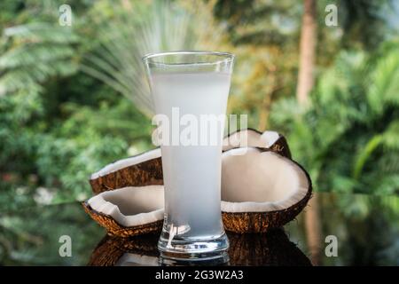 Kokosnüsse und Kokoswasser auf dem schwarzen Glastisch, isoliert über verschwommenem Palmenhintergrund Stockfoto