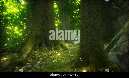 Der Urwald mit mossed Boden Stockfoto