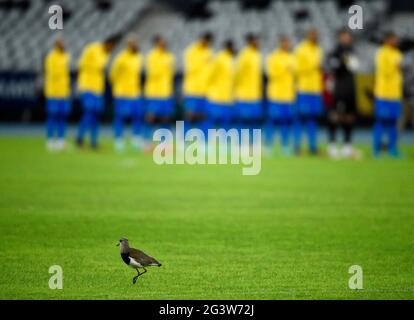 Rio de Janeiro, Brasilien. 17. Juni 2021: Brasilien gegen Peru, Copa America, Football, Estadio Nilton Santos, Rio de Janeiro, Brasilien. Juni 2021. Kredit: Andre Paes/Alamy Live Nachrichten Stockfoto