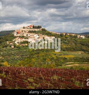 Blick auf Motovun in istrien Kroatien Stockfoto