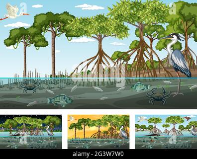 Verschiedene Mangrovenwaldlandschaftsszenen mit Tieren und Pflanzen Illustration Stock Vektor
